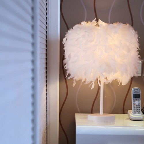 Elegant fluffy feather - feather, table